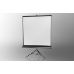 Projection screen on foot ceiling Economy 133 x 133 cm