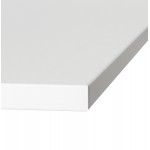 Plateau de table LEA carré en bois stratifié (60cmX60cmX2cm) (blanc)