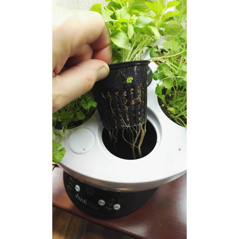 Gardener of hydroponics for indoor culture automatic CONE (large, white) - image 23781