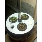 Jardinero de hidroponía para cultivo interior automático pepita (pequeño, negro)