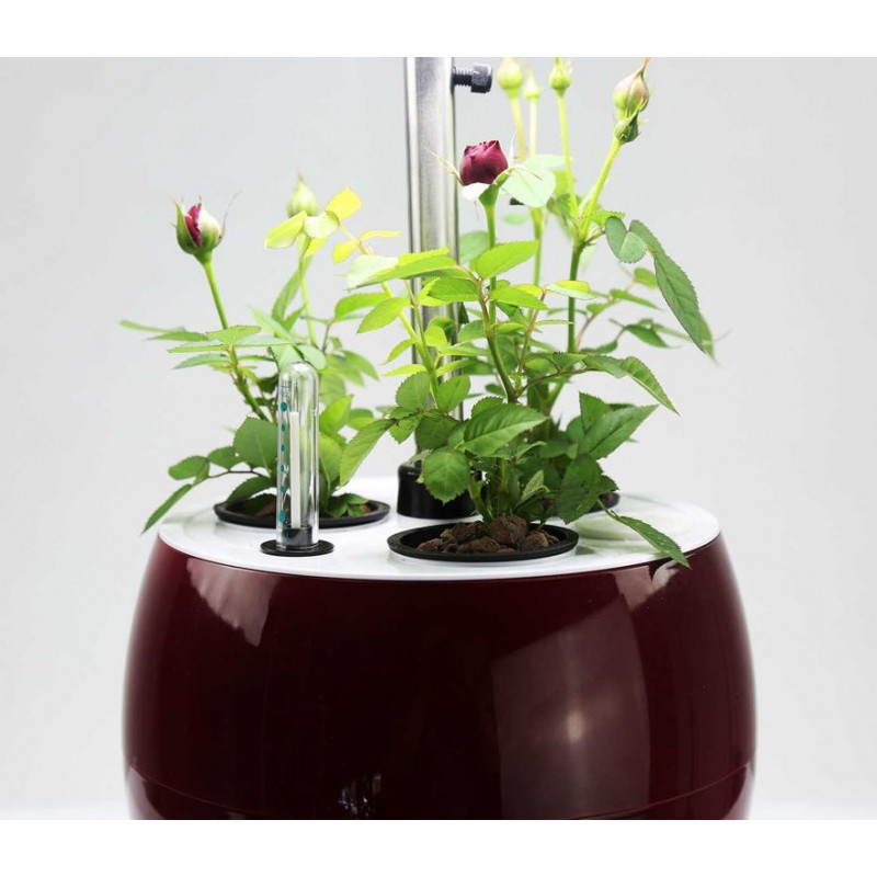 Jardinero de hidroponía para cultivo interior automático pepita (pequeño, negro) - image 23887