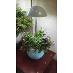Jardinière d'hydroponie automatique pour culture indoor POME (petit, bleu)