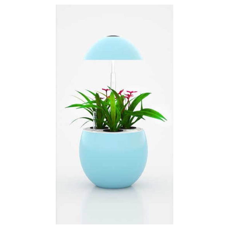 Gardener of hydroponics for automatic indoor culture POME (small, blue) - image 23910