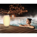 Lámpara LED Cubo champán embarazada altavoz bluetooth KOODUU sinergia 50PRO (blanco)