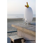 Lamp LED bucket champagne pregnant speaker bluetooth KOODUU synergy 50PRO (white)