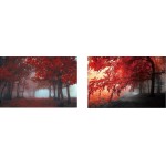 Lot of 2 Tables on glass ARBRE (90 x 60 cm) (red)
