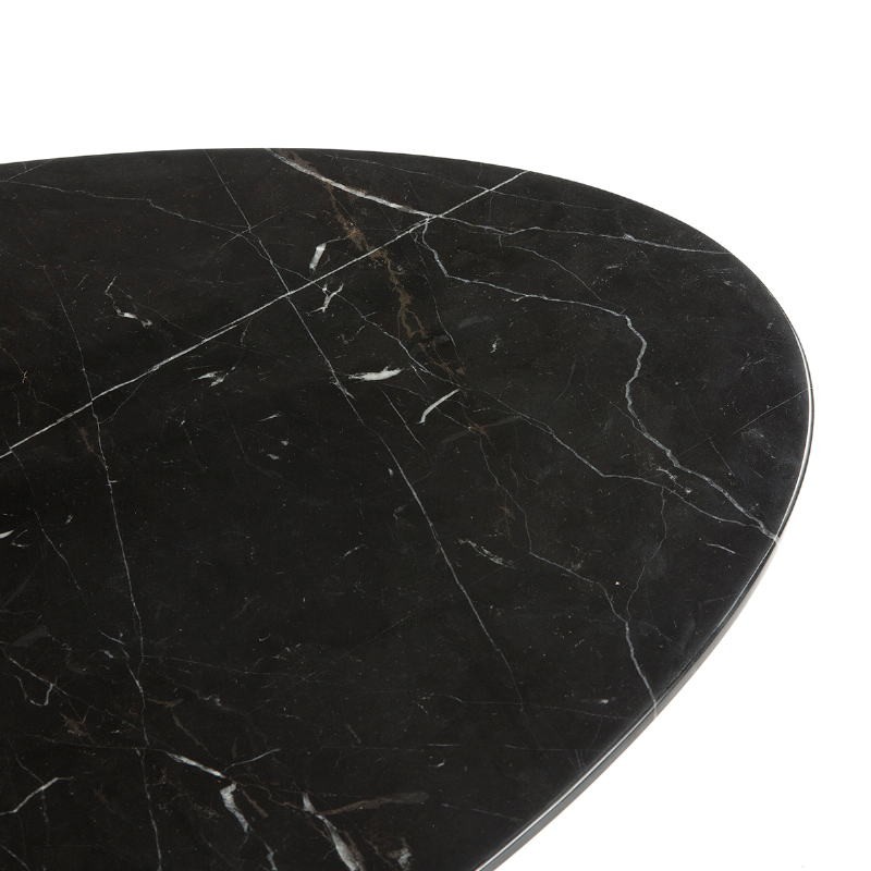 Table basse 120x60x42 cm Marbre Noir Fibre de verre Noir - image 52222