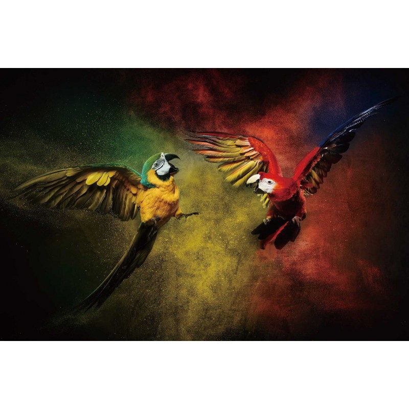 Painting on glass PARROT (80 x 120 cm) (multicolored) - image 59234